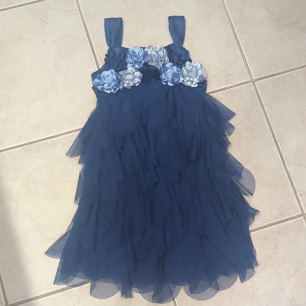 Biscotti Navy Blue Dress, Light Blue Floral Details, Sheer Tulle Girls Size 8
